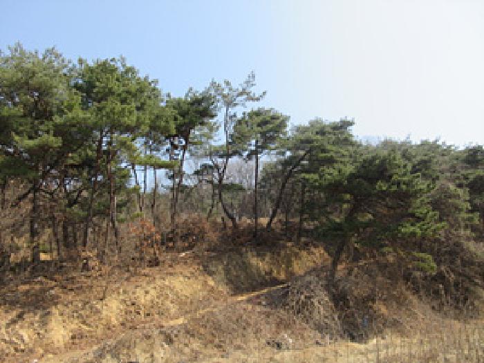법원경매 2025타경127 사진20 | 예천군 보문면 간방리 774-2 답 경매