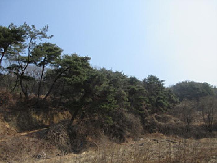 법원경매 2025타경127 사진21 | 예천군 보문면 간방리 774-2 답 경매