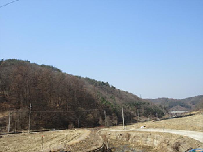 법원경매 2025타경127 사진22 | 예천군 보문면 간방리 774-2 답 경매