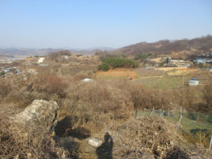 법원경매 2025타경131 사진21 | 문경시 신기동 387-1 전 경매
