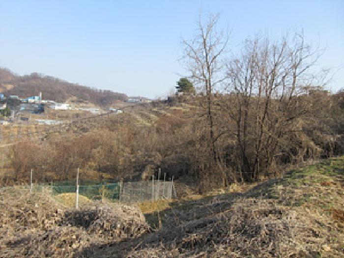 법원경매 2025타경131 사진22 | 문경시 신기동 387-1 전 경매