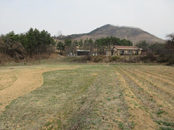 법원경매 2025타경141 사진5 | 예천군 풍양면 낙상리 663-4 전 경매