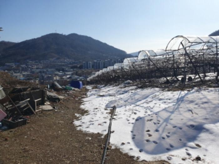 법원경매 2024타경6448 사진20 | 남양주시 화도읍 가곡리 227 전 경매