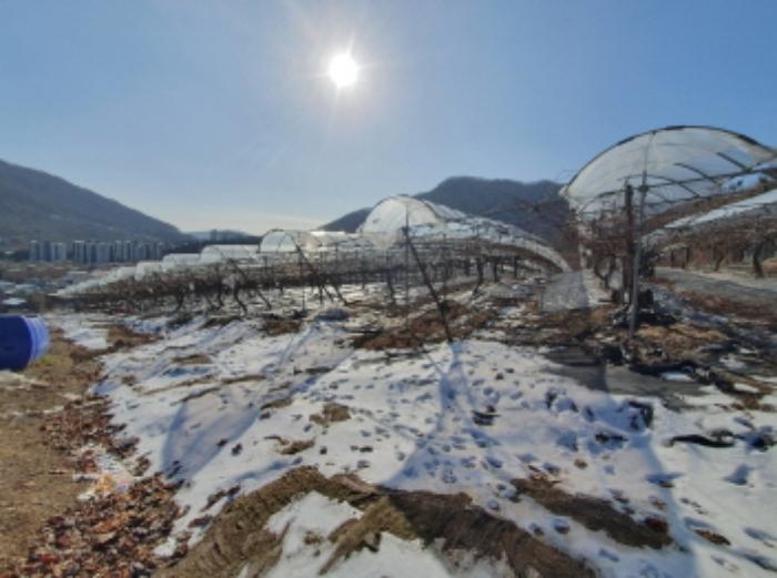 법원경매 2024타경6448 사진23 | 남양주시 화도읍 가곡리 227 전 경매