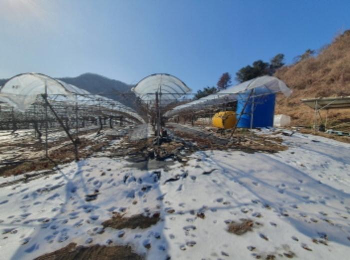 법원경매 2024타경6448 사진24 | 남양주시 화도읍 가곡리 227 전 경매