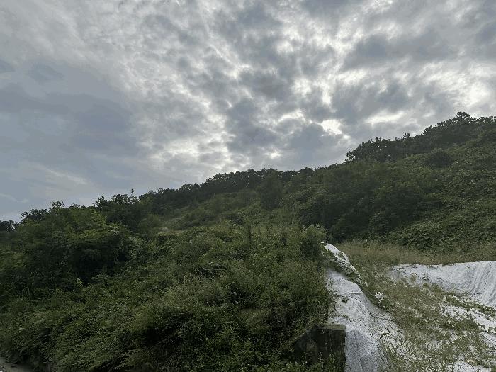 충청북도 괴산군 괴산읍 신기리 산18-1 법원경매 물건 대표사진
