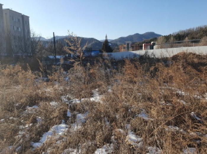 법원경매 2025타경133 사진3 | 가평군 설악면 신천리 85-3 대지 경매