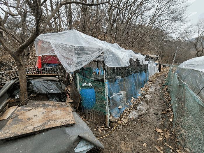 경기도 남양주시 화도읍 묵현리 565-2 법원경매 물건 대표사진