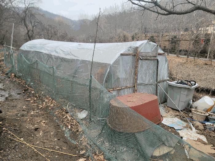 법원경매 2025타경447 사진3 | 남양주시 화도읍 묵현리 565-2 전답 경매