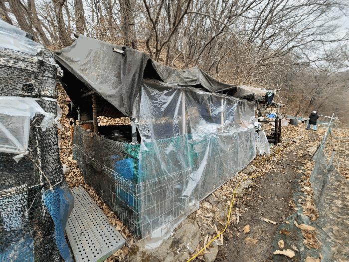 법원경매 2025타경447 사진5 | 남양주시 화도읍 묵현리 565-2 전답 경매