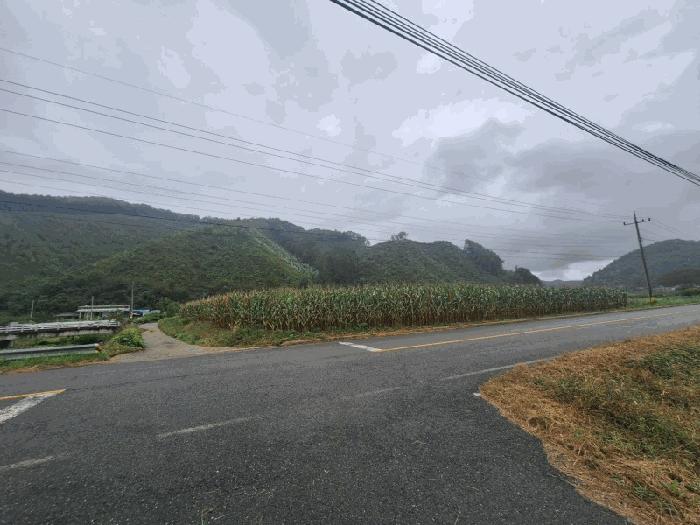 2025타경51798 법원경매 사진10 | 청주 상당구 임야 경매