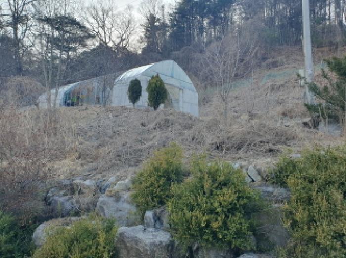 법원경매 2025타경71363 사진29 | 가평군 조종면 신상리 516-1 축사(농가시설) 경매