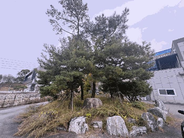 법원경매 2025타경51865 사진11 | 청주시 흥덕구 석곡동 324-8 공장 경매