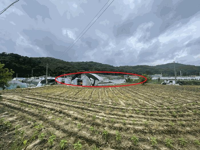 대전광역시 유성구 세동 117 법원경매 물건 대표사진