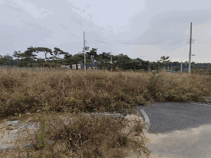 2025타경3860 법원경매 사진41 | 세종 연동면 대지 경매