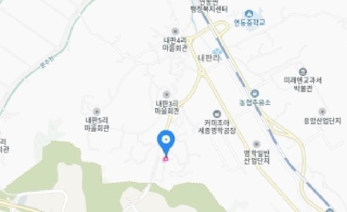 2025타경3860 법원경매 사진46 | 세종 연동면 대지 경매