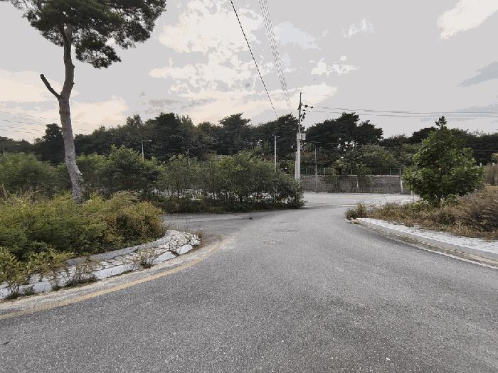 2025타경3860 법원경매 사진5 | 세종 연동면 대지 경매