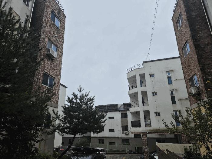 법원경매 2025타경64282 사진6 | 고양시 일산동구 식사동 729-7 다세대주택 경매