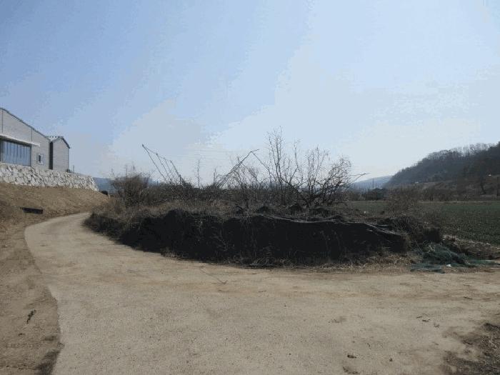 법원경매 2025타경10131 사진3 | 대구 군위군 군위읍 사직리 254 전 경매
