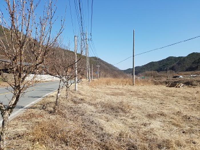 경북 의성군 사곡면 매곡리 151-3 전 사진 4