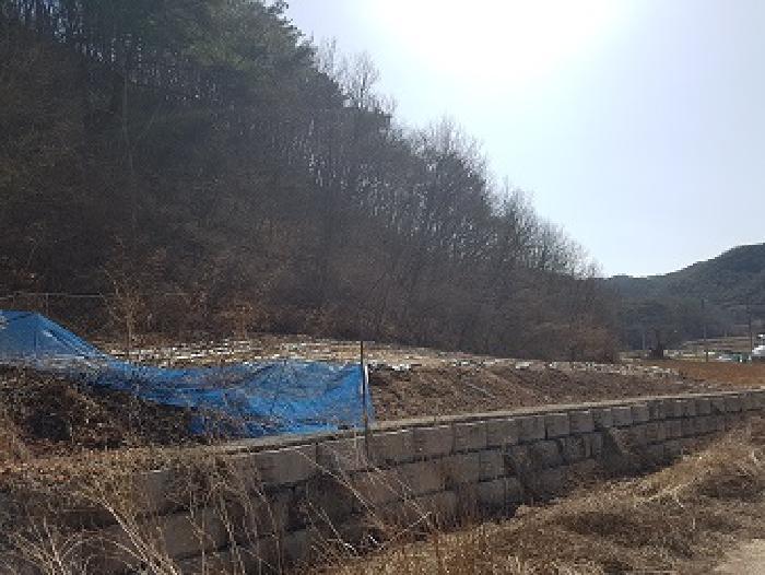 2025타경10137 법원경매 사진6 | 경북 의성군 전답 경매