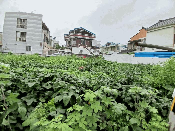 법원경매 2025타경33450 사진2 | 광주 남구 월산동 912-58 대지 경매