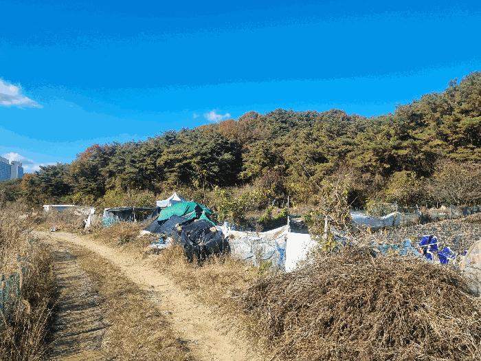 법원경매 2025타경34259 사진6 | 광주 북구 일곡동 10 답 경매