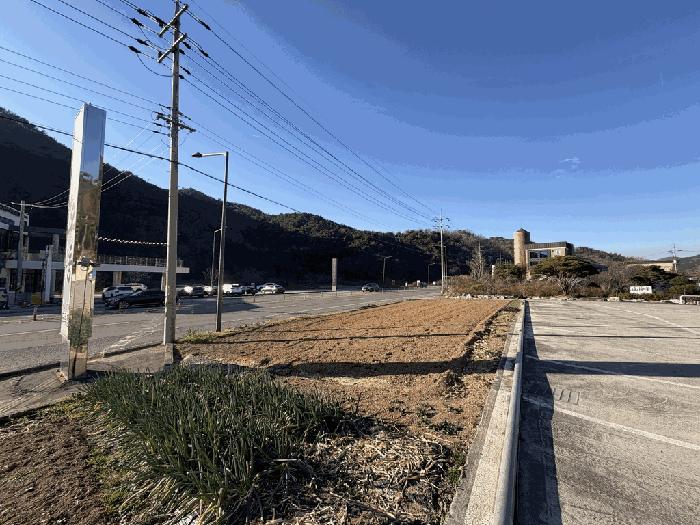 2025타경34611 법원경매 사진5 | 전남 화순군 임야 경매