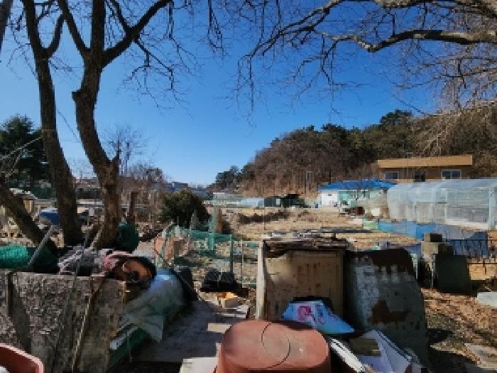 2025타경503484 법원경매 사진2 | 인천 중구 전 경매
