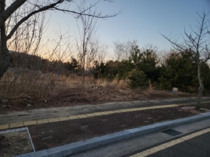2025타경504876 법원경매 사진8 | 인천 중구 대지 경매