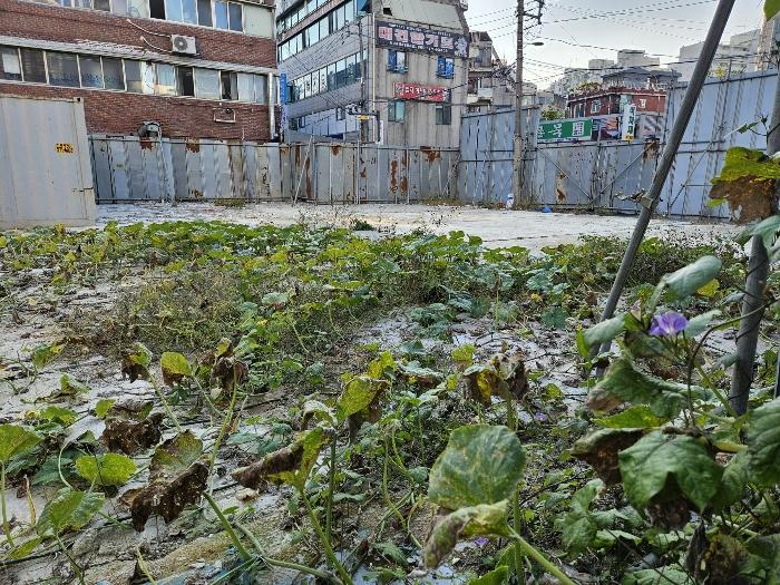 법원경매 2024타경84622 사진2 | 남양주시 진접읍 대지 경매