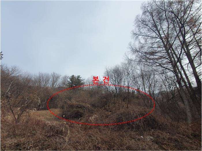 법원경매 2024타경86451 사진2 | 남양주시 오남읍 팔현리 임야 경매
