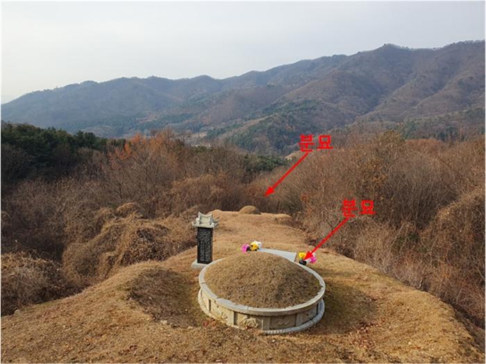 법원경매 2024타경86451 사진4 | 남양주시 오남읍 팔현리 임야 경매