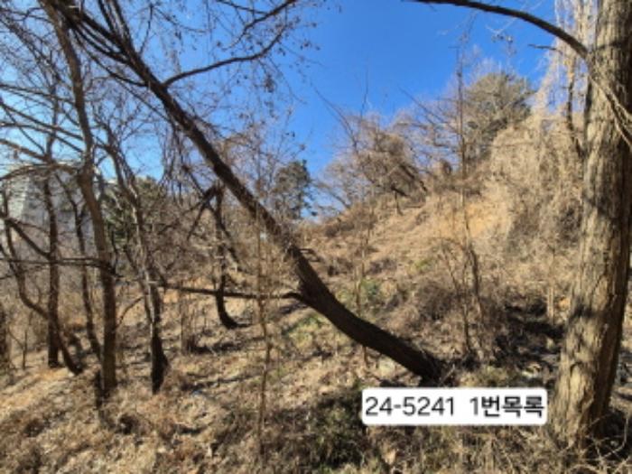2024타경5241 법원경매 사진3 | 부산 사하구 임야 경매