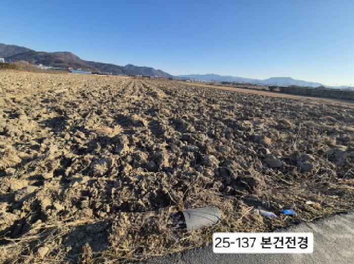 법원경매 2025타경137 사진2 | 부산 강서구 강동동 239-9 답 경매