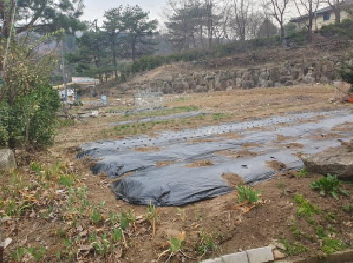 법원경매 2025타경71419 사진6 | 가평군 조종면 대보리 69 대지 경매