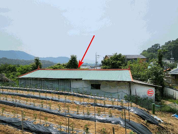 법원경매 2025타경52211 사진4 | 광명시 일직동 501-4 근린시설 경매
