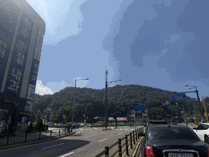 법원경매 2025타경52855 사진2 | 시흥시 장현동 임야 경매