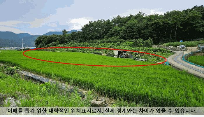 2025타경277 법원경매 사진3 | 창원 마산합포구 답 경매