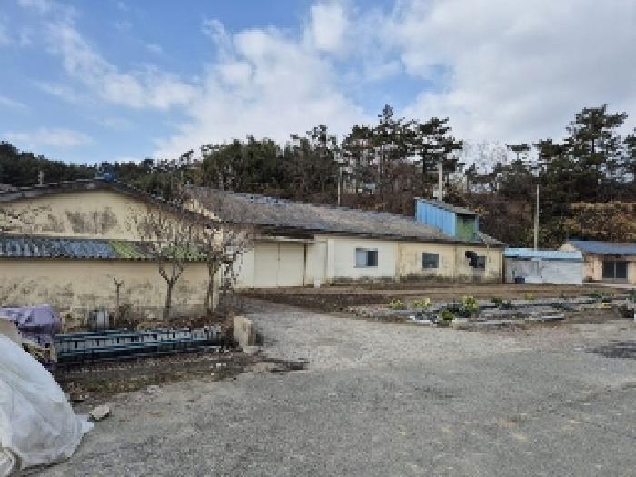 전라남도 영광군 염산면 옥실리 1249-3 법원경매 물건 대표사진