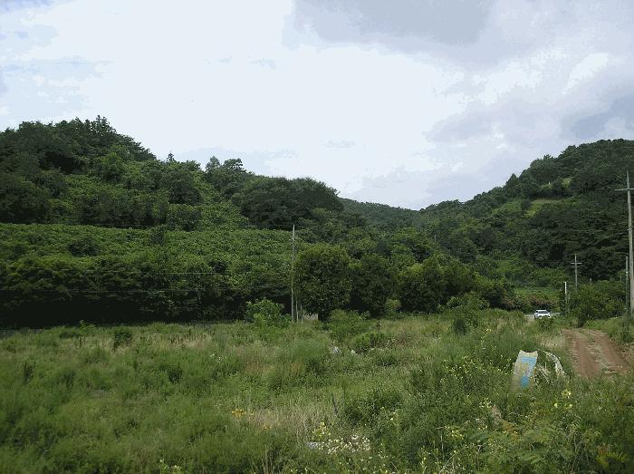 2025타경33322 법원경매 사진2 | 전남 화순군 대지,임야,전답 경매