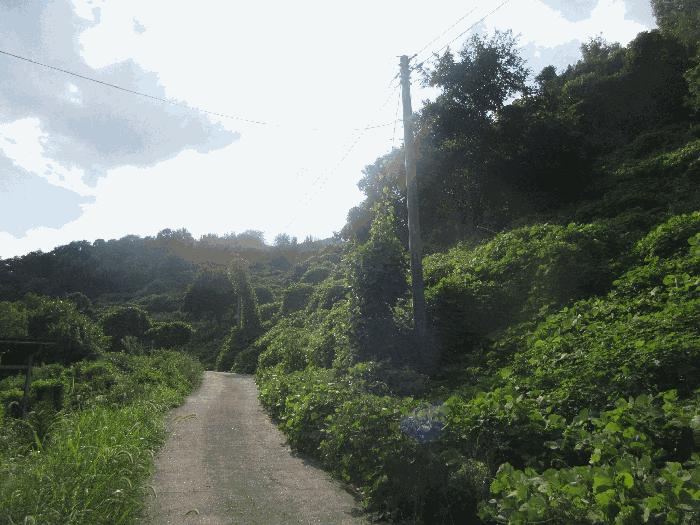 전라남도 곡성군 석곡면 죽산리 산34 법원경매 물건 대표사진