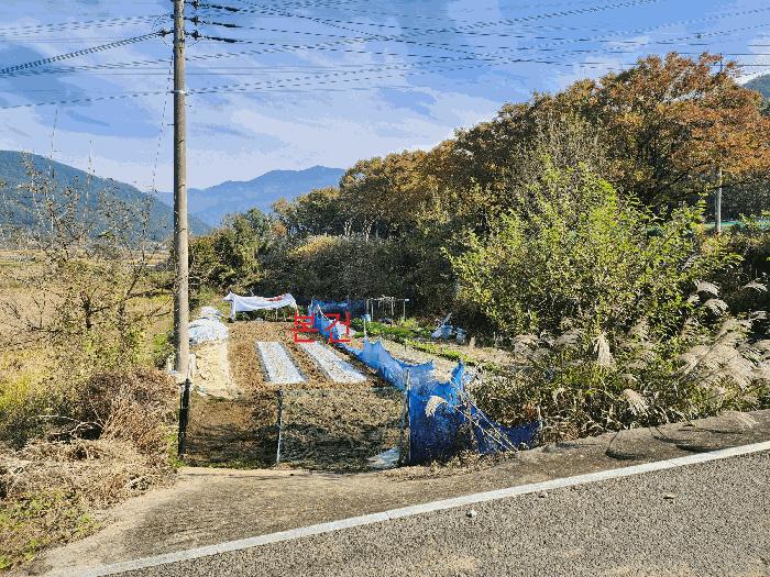 대구광역시 달성군 유가읍 음리 563 법원경매 물건 대표사진
