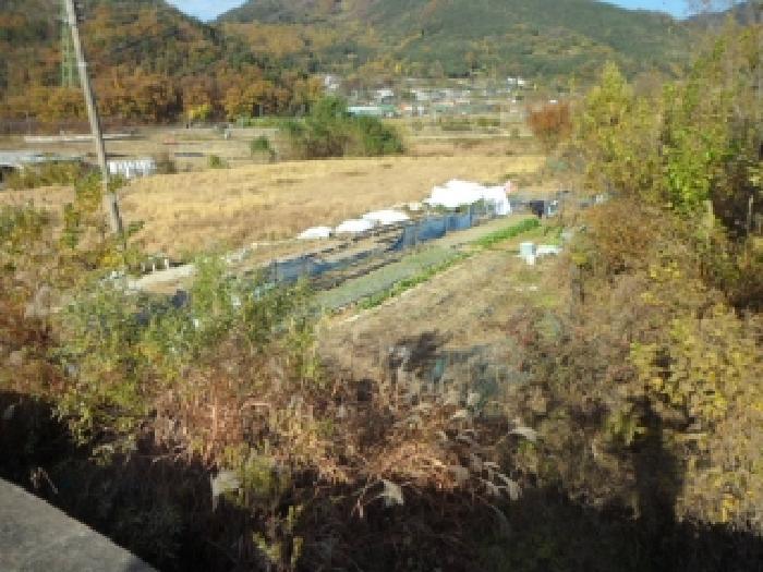 법원경매 2025타경31933 사진3 | 대구 달성군 유가읍 음리 563 답 경매