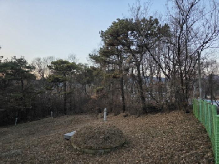 법원경매 2025타경31978 사진8 | 성주군 월항면 장산리 임야 경매
