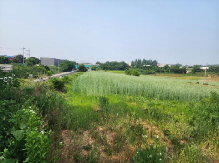 법원경매 2025타경56172 사진11 | 화성시 장안면 석포리 임야 경매