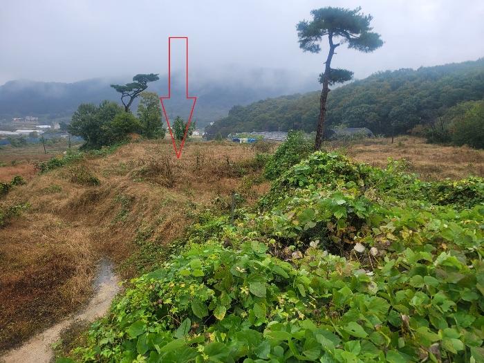 2024타경52534 법원경매 사진13 | 경기 안성시 공장 경매