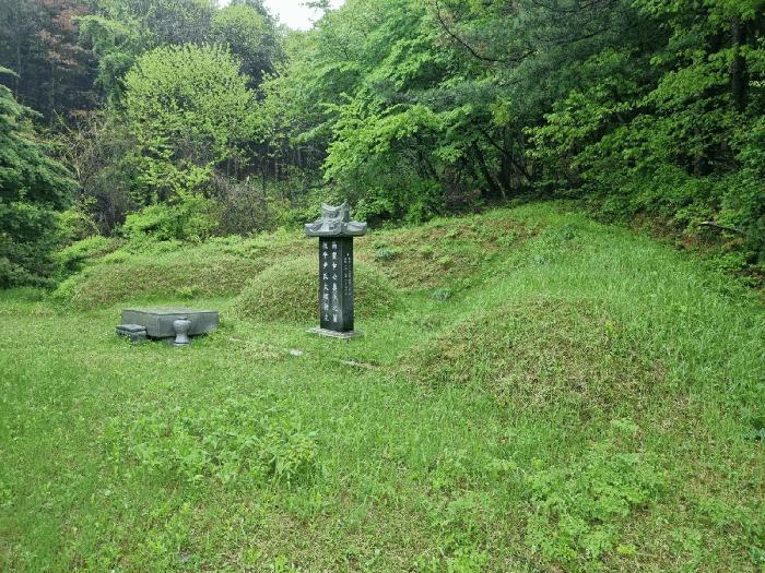 법원경매 2025타경52049 사진4 | 광주시 도척면 추곡리 91 전 경매
