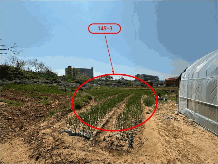 2025타경41750 법원경매 사진2 | 경기 평택시 대지 경매