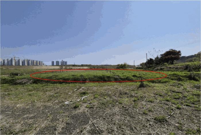 경기도 평택시 고덕면 당현리 487 법원경매 물건 대표사진